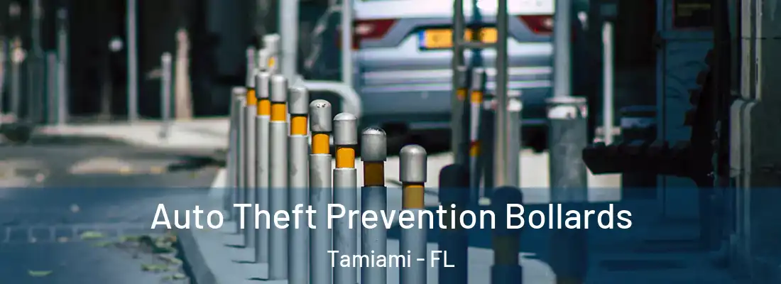 Auto Theft Prevention Bollards Tamiami - FL