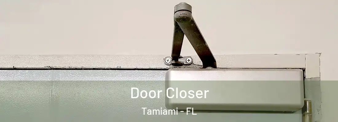 Door Closer Tamiami - FL