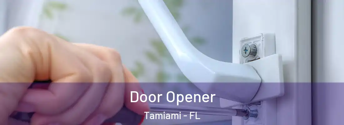 Door Opener Tamiami - FL