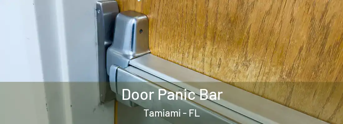 Door Panic Bar Tamiami - FL