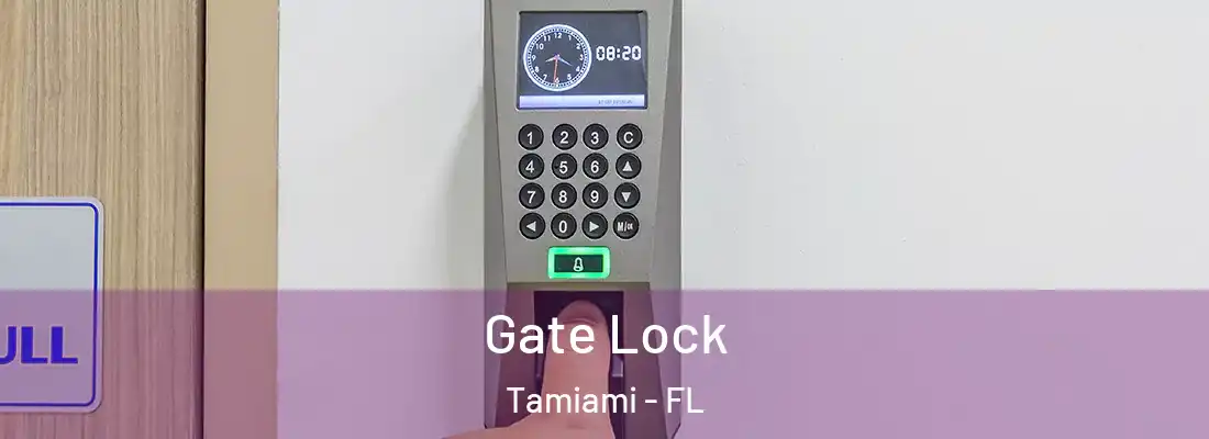 Gate Lock Tamiami - FL