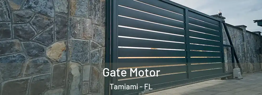 Gate Motor Tamiami - FL