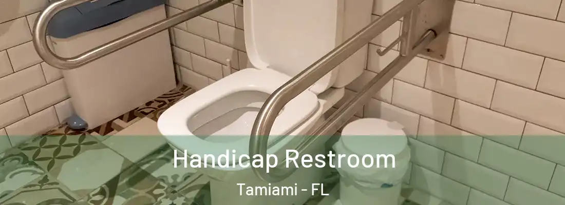 Handicap Restroom Tamiami - FL