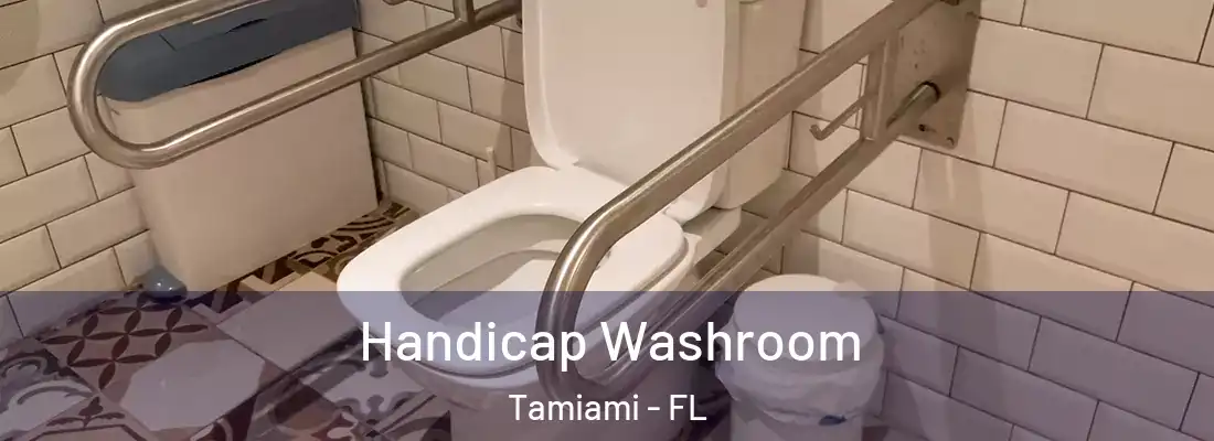  Handicap Washroom Tamiami - FL
