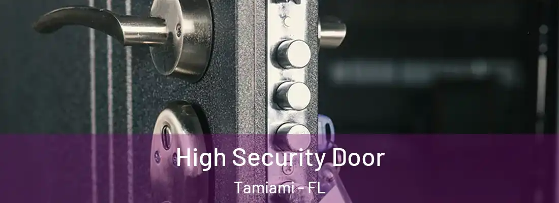 High Security Door Tamiami - FL