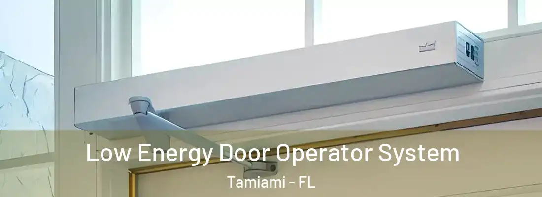 Low Energy Door Operator System Tamiami - FL