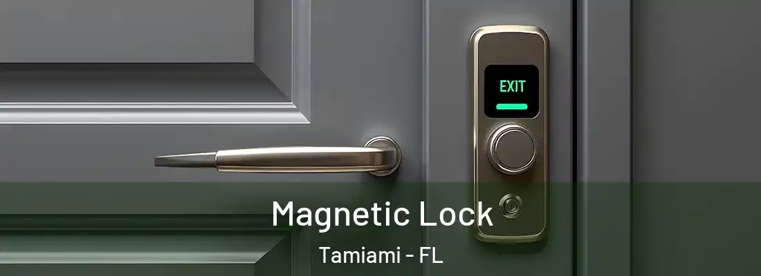 Magnetic Lock Tamiami - FL