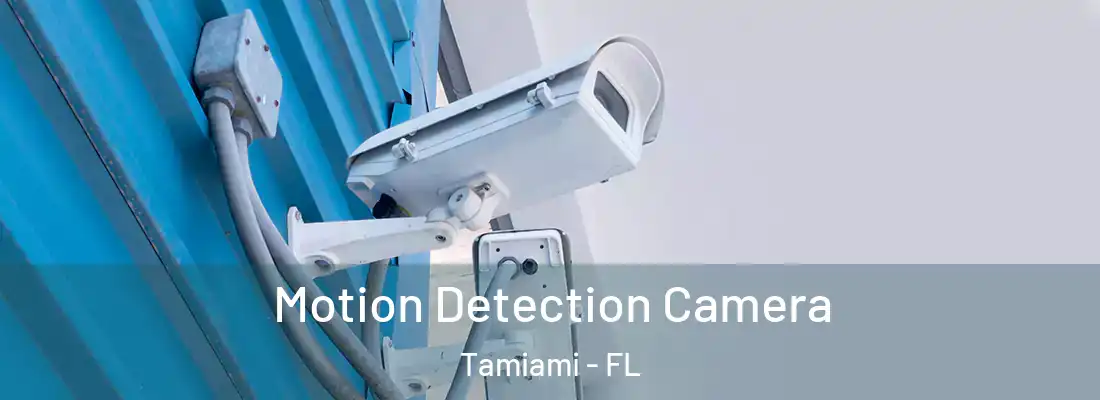 Motion Detection Camera Tamiami - FL