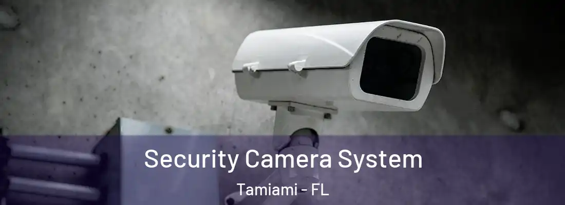 Security Camera System Tamiami - FL