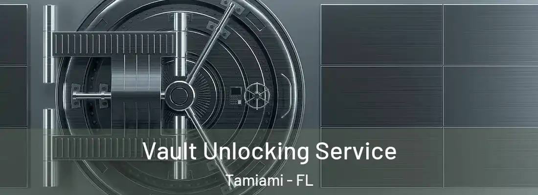 Vault Unlocking Service Tamiami - FL